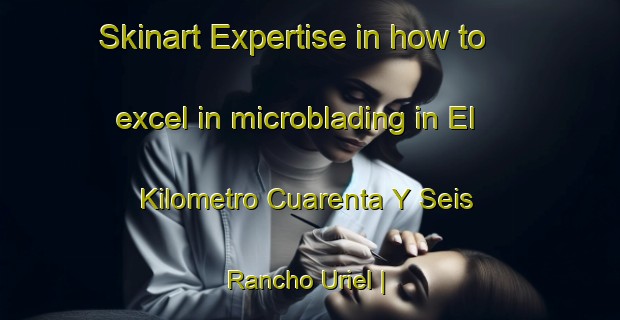 Skinart Expertise in how to excel in microblading in El Kilometro Cuarenta Y Seis  Rancho Uriel | MicrobladingTraining | MicrobladingClasses | SkinartTraining-Mexico